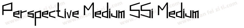 Perspective Medium SSi Medium Italic字体转换